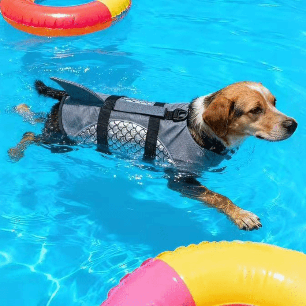 Life Jacket Buoyancy - เสื้อชูชีพสุนัขที่มีแรงลอยตัวสูง ลายเกล็ดฉลาม ชุดว่ายน้ำสุนัขแบบแห้งเร็ว ปรับขนาดได้ อุปกรณ์ช่วยชีวิตสัตว์เลี้ยง