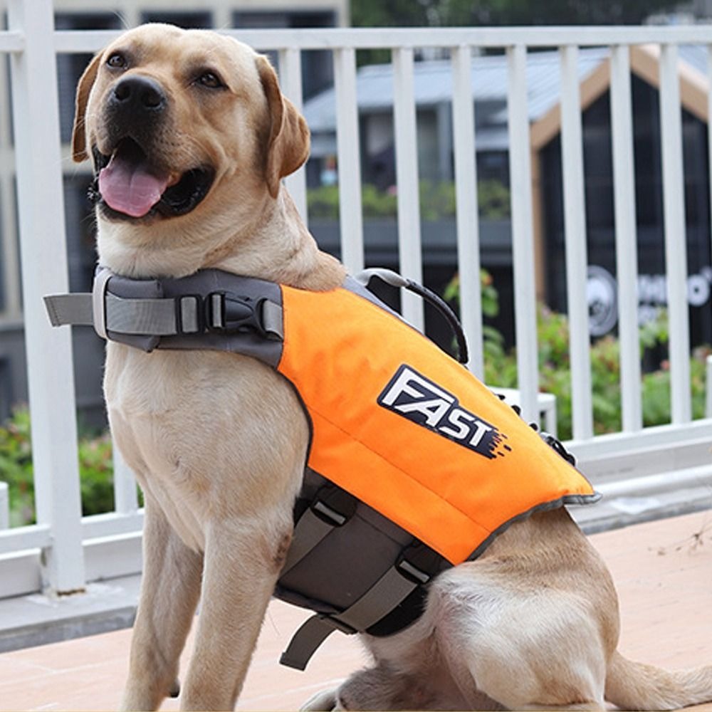 เสื้อชูชีพสำหรับสัตว์เลี้ยงแบบ - Life Jacket Buoyancy บทวิจารณ์และราคา