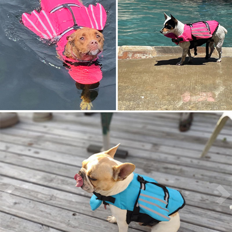 เสื้อชูชีพสุนัขสะท้อนแสงปรับฤด - Life Jacket Buoyancy บทวิจารณ์และราคา